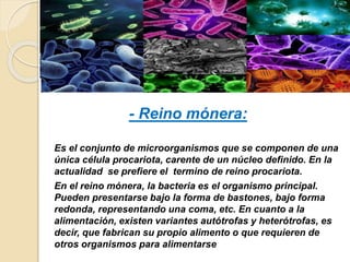 - Reino mónera:
Es el conjunto de microorganismos que se componen de una
única célula procariota, carente de un núcleo definido. En la
actualidad se prefiere el termino de reino procariota.
En el reino mónera, la bacteria es el organismo principal.
Pueden presentarse bajo la forma de bastones, bajo forma
redonda, representando una coma, etc. En cuanto a la
alimentación, existen variantes autótrofas y heterótrofas, es
decir, que fabrican su propio alimento o que requieren de
otros organismos para alimentarse
 