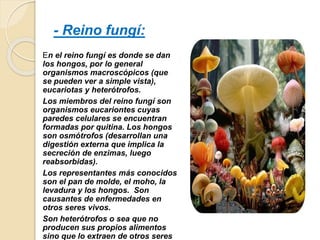 - Reino fungí:
En el reino fungí es donde se dan
los hongos, por lo general
organismos macroscópicos (que
se pueden ver a simple vista),
eucariotas y heterótrofos.
Los miembros del reino fungí son
organismos eucariontes cuyas
paredes celulares se encuentran
formadas por quitina. Los hongos
son osmótrofos (desarrollan una
digestión externa que implica la
secreción de enzimas, luego
reabsorbidas).
Los representantes más conocidos
son el pan de molde, el moho, la
levadura y los hongos. Son
causantes de enfermedades en
otros seres vivos.
Son heterótrofos o sea que no
producen sus propios alimentos
sino que lo extraen de otros seres
 