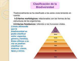Tradicionalmente se ha clasificado a los seres vivos teniendo en
cuenta:
1-Criterios morfológicos: relacionados con las formas de las
estructuras de los organismos.
2-Criterios fisiológicos: referidos a las funciones vitales.
Clasificación de la
Biodiversidad
Linneo afirmando
que la
biodiversidad se
podía clasificar
entre: especies,
género y familias.
Estas últimas a su
vez se podrían
clasificar en
órdenes, clases,
tipos y reinos.
 