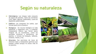 Recursos naturales en Panamá