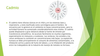 Cadmio
 El cadmio tiene efectos tóxicos en el riñón y en los sistemas óseo y
respiratorio, y está clasificado como carcinógeno para el hombre. Se
encuentra por lo general en el ambiente en bajas concentraciones, pero la
actividad humana ha aumentado considerablemente esos niveles. El cadmio
puede desplazarse a gran distancia desde la fuente de emisión por
transferencia atmosférica. Se acumula fácilmente en muchos organismos,
especialmente en moluscos y crustáceos. Las verduras, los cereales y las
raíces amiláceas lo contienen en concentraciones más bajas. La exposición
humana se debe principalmente al consumo de alimentos contaminados, a la
inhalación activa y pasiva de humo de tabaco, y a la inhalación del producto
entre los trabajadores de la industria de manejo de metales no ferrosos.
 