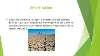 Desertización
 Cada año aumenta la superficie desértica del planeta.
Esto da lugar a un empobrecimiento general del suelo, lo
que perjudica las actividades agrícolas y ganaderas de la
región afectada.
 