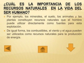 ¿CUÁL ES LA IMPORTANCIA DE LOS
RECURSOS NATURALES EN LA VIDA DEL
SER HUMANO?
 Por ejemplo, los minerales, el suelo, los animales y las
plantas constituyen recursos naturales que el hombre
puede utilizar directamente como fuentes para esta
explotación.
 De igual forma, los combustibles, el viento y el agua pueden
ser utilizados como recursos naturales para la producción
de energía.
 