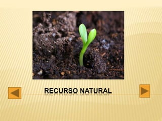 RECURSO NATURAL
 
