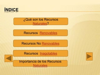 ÍNDICE
¿Qué son los Recursos
Naturales?
Importancia de los Recursos
Naturales
Recursos Inagotables
Recursos Renovables
Recursos No Renovables
 