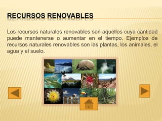 RECURSOS RENOVABLES
Los recursos naturales renovables son aquellos cuya cantidad
puede mantenerse o aumentar en el tiempo. Ejemplos de
recursos naturales renovables son las plantas, los animales, el
agua y el suelo.
 