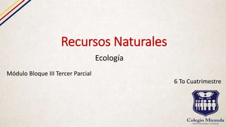 Recursos Naturales
Ecología
Módulo Bloque III Tercer Parcial
6 To Cuatrimestre
 
