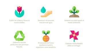 Cuidar de la flora y fauna es
nuestro deber.
Disminuir el consumo
insesario de agua.
Sembrar un arbol ayuda al
medio ambiente.
Debemos reciclar
productos que permitan
hacerlo.
El consumo de frutas
ayudara a nuestro
organizmo como beneficio.
Elaborar manualidades
útiles en el hogar.
 