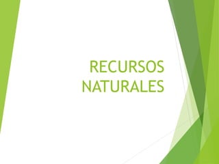 RECURSOS
NATURALES
 