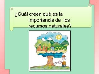 ¿Cuál creen qué es la
importancia de los
recursos naturales?
 