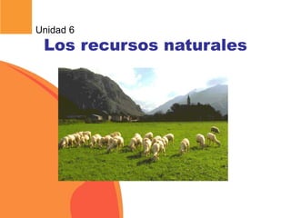 Unidad 6
Los recursos naturales
 