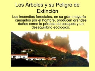 Los Árboles y su Peligro de
Extinción
Los incendios forestales, en su gran mayoría
causados por el hombre, producen grandes
daños como la pérdida de bosques y un
desequilibrio ecológico.
 