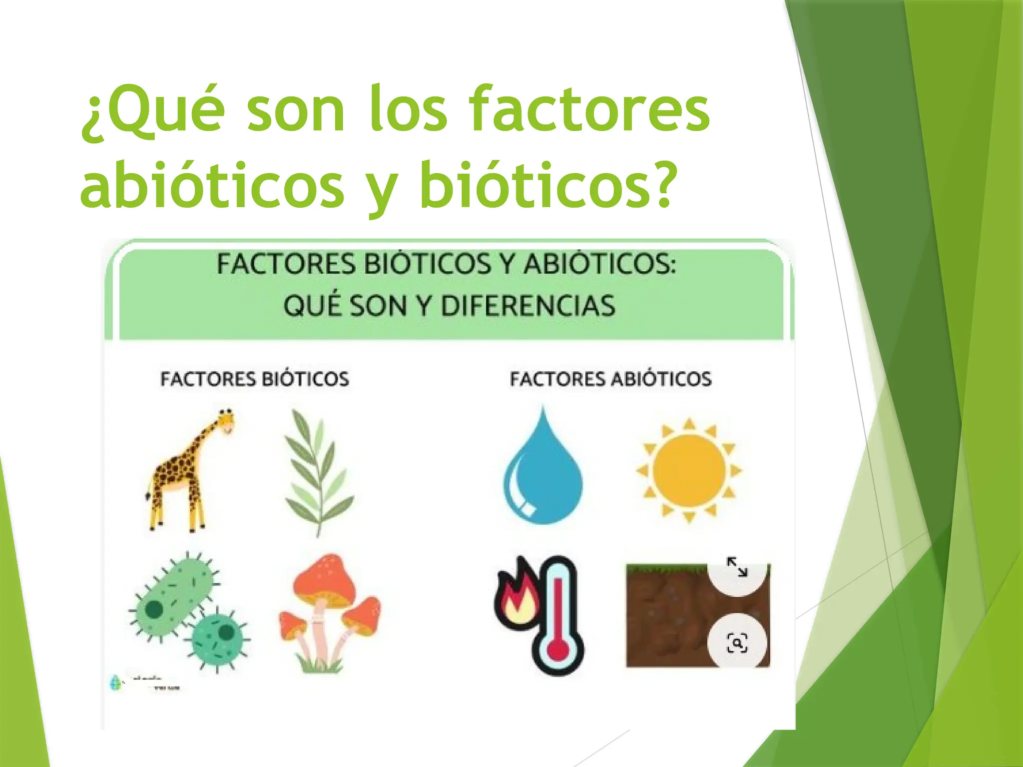 Recursos naturales -factores bióticos y abióticos.pptx