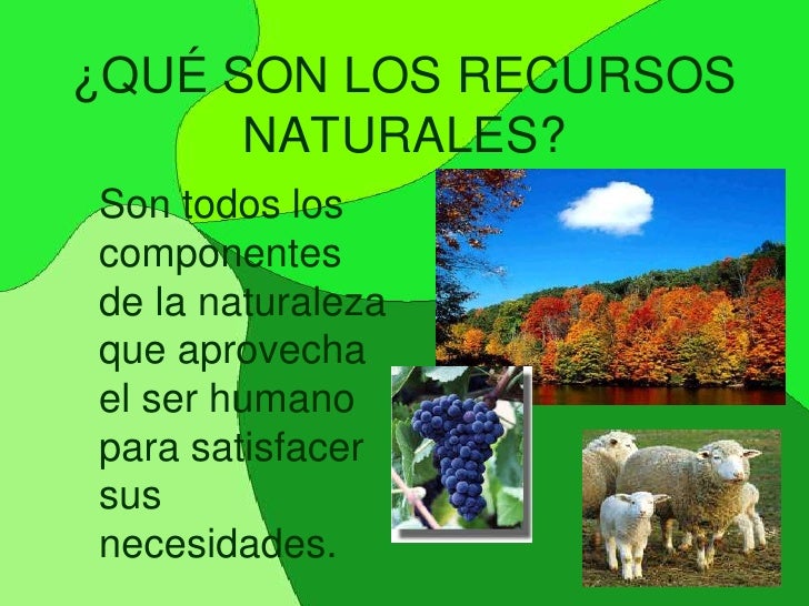 Recursos naturales marcela (2)