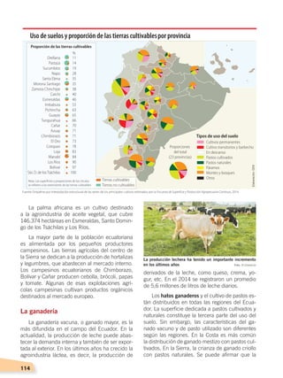 114
derivados de la leche, como queso, crema, yo-
gur, etc. En el 2014 se registraron un promedio
de 5,6 millones de litros de leche diarios.
Los hatos ganaderos y el cultivo de pastos es-
tán distribuidos en todas las regiones del Ecua-
dor. La superficie dedicada a pastos cultivados y
naturales constituye la tercera parte del uso del
suelo. Sin embargo, las características del ga-
nado vacuno y de pasto utilizado son diferentes
según las regiones. En la Costa es más común
la distribución de ganado mestizo con pastos cul-
tivados. En la Sierra, la crianza de ganado criollo
con pastos naturales. Se puede afirmar que la
La palma africana es un cultivo destinado
a la agroindustria de aceite vegetal, que cubre
146.374 hectáreas en Esmeraldas, Santo Domin-
go de los Tsáchilas y Los Ríos.
La mayor parte de la población ecuatoriana
es alimentada por los pequeños productores
campesinos. Las tierras agrícolas del centro de
la Sierra se dedican a la producción de hortalizas
y legumbres, que abastecen al mercado interno.
Los campesinos ecuatorianos de Chimborazo,
Bolívar y Cañar producen cebolla, brócoli, papas
y tomate. Algunas de esas explotaciones agrí-
colas campesinas cultivan productos orgánicos
destinados al mercado europeo.
La ganadería
La ganadería vacuna, o ganado mayor, es la
más difundida en el campo del Ecuador. En la
actualidad, la producción de leche puede abas-
tecer la demanda interna y también de ser expor-
tada al exterior. En los últimos años ha crecido la
agroindustria láctea, es decir, la producción de
Proporciones
del total
(23 provincias)
Cultivos permanentes
Cultivo transitorios y barbecho
En descanso
Pastos cultivados
Pastos naturales
Páramos
Montes y bosques
Otros
Tipos de uso del suelo
Proporción de las tierras cultivables
Orellana
Pastaza
Sucumbíos
Napo
Santa Elena
Morona Santiago
Zamora Chinchipe
Carchi
Esmeraldas
Imbabura
Pichincha
Guayas
Tungurahua
Cañar
Azuay
Chimborazo
El Oro
Cotopaxi
Loja
Manabí
Los Ríos
Bolívar
Sto. D. de losTsáchilas
Nota: Las superﬁcies y proporciones de los círculos
se reﬁeren a las extensiones de las tierras cultivables.
Tierras cultivables
Tierras no cultivables
11
14
19
28
35
35
38
40
46
55
63
65
66
70
71
71
73
78
83
84
90
97
100
%
Uso de suelos y proporción de las tierras cultivablespor provincia
La producción lechera ha tenido un importante incremento
en los últimos años
Fuente: Empalme por interpolación estructural de las series de los principales cultivos estimados por la Encuesta de Superficie y Producción Agropecuaria Continua, 2014.
Elaboración:CEN
Foto: El Comercio
ECONOMÍA DEL ECUADOR; pp.108-145 .indd 114 13/07/16 16:38
 