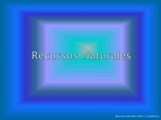 Recursos naturales-Sofía T. y Catalina Z.
 