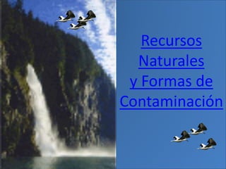 Recursos
Naturales
y Formas de
Contaminación
 