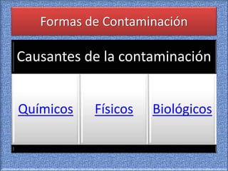 Formas de Contaminación
Causantes de la contaminación
Químicos Físicos Biológicos
 