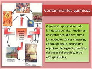 Contaminantes químicos
Compuestos provenientes de
la industria química. Pueden ser
de efectos perjudiciales, como
los productos tóxicos minerales,
ácidos, los álcalis, disolventes
orgánicos, detergentes, plásticos,
derivados del petróleo, entre
otros pesticidas.
 