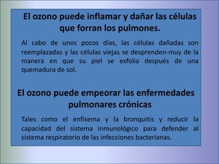 El ozono puede inflamar y dañar las células
que forran los pulmones.
Al cabo de unos pocos días, las células dañadas son
reemplazadas y las células viejas se desprenden-muy de la
manera en que su piel se exfolia después de una
quemadura de sol.
El ozono puede empeorar las enfermedades
pulmonares crónicas
Tales como el enfisema y la bronquitis y reducir la
capacidad del sistema inmunológico para defender al
sistema respiratorio de las infecciones bacterianas.
 