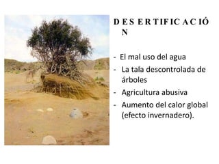 DESERTIFICACIÓN -  El mal uso del agua La tala descontrolada de árboles Agricultura abusiva Aumento del calor global (efecto invernadero). 