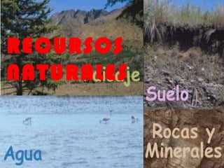 RECURSOS
NATURALES
 