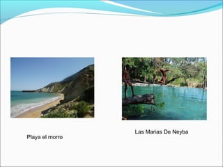 Playa el morro

Las Marias De Neyba

 