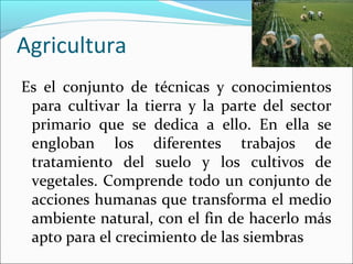 Agricultura
Es el conjunto de técnicas y conocimientos
para cultivar la tierra y la parte del sector
primario que se dedica a ello. En ella se
engloban los diferentes trabajos de
tratamiento del suelo y los cultivos de
vegetales. Comprende todo un conjunto de
acciones humanas que transforma el medio
ambiente natural, con el fin de hacerlo más
apto para el crecimiento de las siembras

 