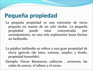 Pequeña propiedad
La pequeña propiedad es una extensión de tierra
pequeña en manos de un solo titular. La pequeña
propiedad
puede
estar
concentrada,
por
arrendamiento, en una sola explotación hasta formar
un latifundio.
La palabra latifundio se refiere a una gran propiedad de
tierra agrícola (de latos, extenso, amplio; y fundo,
propiedad inmueble).
Ejemplo: Fincas Bananeras, cafeteras , arroceras, las
cañas de azucar, el tabaco y el cacao.

 