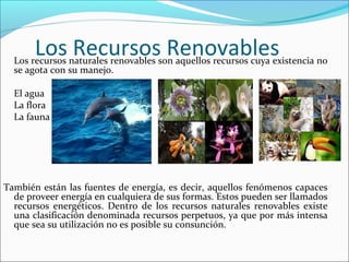 Los Recursos Renovables

Los recursos naturales renovables son aquellos recursos cuya existencia no
se agota con su manejo.
El agua
La flora
La fauna

También están las fuentes de energía, es decir, aquellos fenómenos capaces
de proveer energía en cualquiera de sus formas. Estos pueden ser llamados
recursos energéticos. Dentro de los recursos naturales renovables existe
una clasificación denominada recursos perpetuos, ya que por más intensa
que sea su utilización no es posible su consunción.

 