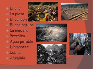  El oro
 La plata
 El carbón
 El gas natural
 La madera
 Petróleo
 Agua potable
 Diamantes
 Cobre
 Aluminio
 