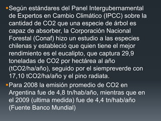 Según estándares del Panel Intergubernamental
de Expertos en Cambio Climático (IPCC) sobre la
cantidad de CO2 que una especie de árbol es
capaz de absorber, la Corporación Nacional
Forestal (Conaf) hizo un estudio a las especies
chilenas y estableció que quien tiene el mejor
rendimiento es el eucalipto, que captura 29,9
toneladas de CO2 por hectárea al año
(tCO2/ha/año), seguido por el siempreverde con
17,10 tCO2/ha/año y el pino radiata.
Para 2008 la emisión promedio de CO2 en
Argentina fue de 4,8 tn/hab/año, mientras que en
el 2009 (ultima medida) fue de 4,4 tn/hab/año
(Fuente Banco Mundial)
 