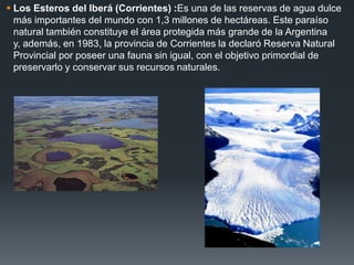  Los Esteros del Iberá (Corrientes) :Es una de las reservas de agua dulce
más importantes del mundo con 1,3 millones de hectáreas. Este paraíso
natural también constituye el área protegida más grande de la Argentina
y, además, en 1983, la provincia de Corrientes la declaró Reserva Natural
Provincial por poseer una fauna sin igual, con el objetivo primordial de
preservarlo y conservar sus recursos naturales.
 