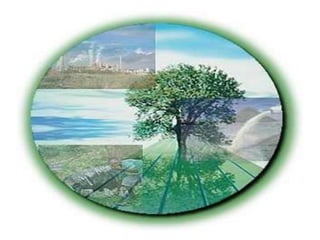 Recursos naturales AT