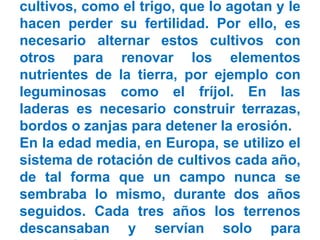 cultivos, como el trigo, que lo agotan y le
hacen perder su fertilidad. Por ello, es
necesario alternar estos cultivos con
otros para renovar los elementos
nutrientes de la tierra, por ejemplo con
leguminosas como el fríjol. En las
laderas es necesario construir terrazas,
bordos o zanjas para detener la erosión.
En la edad media, en Europa, se utilizo el
sistema de rotación de cultivos cada año,
de tal forma que un campo nunca se
sembraba lo mismo, durante dos años
seguidos. Cada tres años los terrenos
descansaban y servían solo para
 