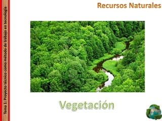 Tema1:Proyectotécnicocomométododetrabajoentecnología
 