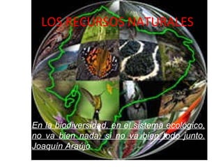 LOS RECURSOS NATURALES En la biodiversidad, en el sistema ecológico, no va bien nada, si no va bien todo junto. Joaquín Araújo 