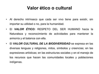 Valor ético o cultural Al derecho intrínseco que cada ser vivo tiene para existir, sin importar su utilidad o no, para la humanidad.  El  VALOR ÉTICO:  RESPETO DEL SER HUMANO hacia la Naturaleza y reconocimiento de actividades para mantener la armonía y el balance con ella.  El  VALOR CULTURAL DE LA BIODIVERSIDAD  se expresa en las diversas lenguas y religiones, mitos, símbolos y creencias; en las expresiones artísticas; en las estructuras sociales y en el manejo de los recursos que hacen las comunidades locales y poblaciones indígenas. 