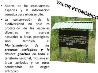 VALOR ECONÓMICO Aporte de los ecosistemas, especies y la información genética para el desarrollo.  La conservación de la biodiversidad no solo es protección de las especies silvestres en reservas naturales o áreas protegidas, sino también el  Mantenimiento de los procesos ecológicos y la riqueza genética  en todo el territorio nacional, inclusive en áreas agrícolas y en otros ecosistemas de origen antrópico. 