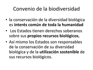 Convenio de la biodiversidad la conservación de la diversidad biológica es  interés común de toda la humanidad Los Estados tienen derechos soberanos sobre sus  propios recursos biológicos , Así mismo los Estados son responsables de la conservación de su diversidad biológica y de la  utilización sostenible  de sus recursos biológicos. 