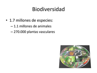 Biodiversidad 1.7 millones de especies: 1.1 millones de animales 270.000 plantas vasculares 