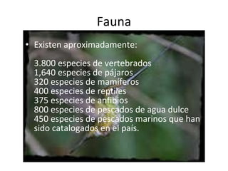 Fauna Existen aproximadamente: 3.800 especies de vertebrados  1,640 especies de pájaros  320 especies de mamíferos 400 especies de reptiles 375 especies de anfibios 800 especies de pescados de agua dulce 450 especies de pescados marinos que han sido catalogados en el país.  