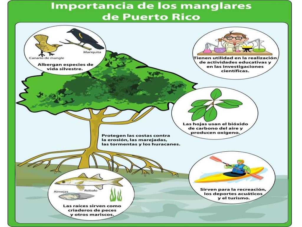 Recursos Naturales de Puerto Rico