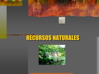 RECURSOS NATURALES
 