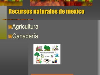 Recursos naturales de mexico
Agricultura
Ganadería
 