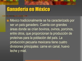 Ganadería en México
México tradicionalmente se ha caracterizado por
ser un país ganadero. Cuenta con grandes
áreas donde se crían bovinos, ovinos, porcinos,
entre otros, que proporcionan la producción de
proteínas para la población del país. La
producción pecuaria mexicana tiene cuatro
divisiones principales: carne en canal, huevo
leche y miel.
 