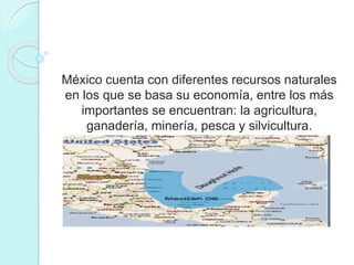 México cuenta con diferentes recursos naturales
en los que se basa su economía, entre los más
importantes se encuentran: la agricultura,
ganadería, minería, pesca y silvicultura.
 