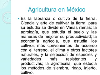 Agricultura en México
 Es la labranza o cultivo de la tierra.
Ciencia y arte de cultivar la tierra; para
su estudio se divide en Varias ramas: la
agrología, que estudia el suelo y las
maneras de mejorar su productividad; la
economía agrícola, que estudia los
cultivos más convenientes de acuerdo
con el terreno, el clima y otros factores
naturales, y la selección de especies y
variedades más resistentes y
productivas; la agrotecnia, que estudia
los métodos de siembra, riego, injerto,
cultivo.
 
