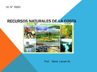 RECURSOS NATURALES DE LA COSTA
Prof. Gloria Larraín M.
I.E. N° 10223
 