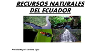 RECURSOS NATURALES
DEL ECUADOR
Presentado por: Carolina Tapia
 